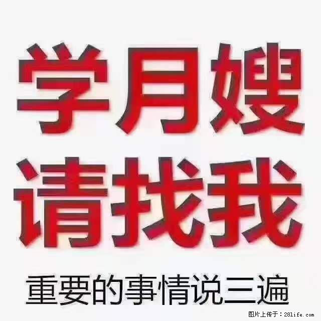 为什么要学习月嫂，育婴师？ - 其他广告 - 广告专区 - 恩施分类信息 - 恩施28生活网 es.28life.com