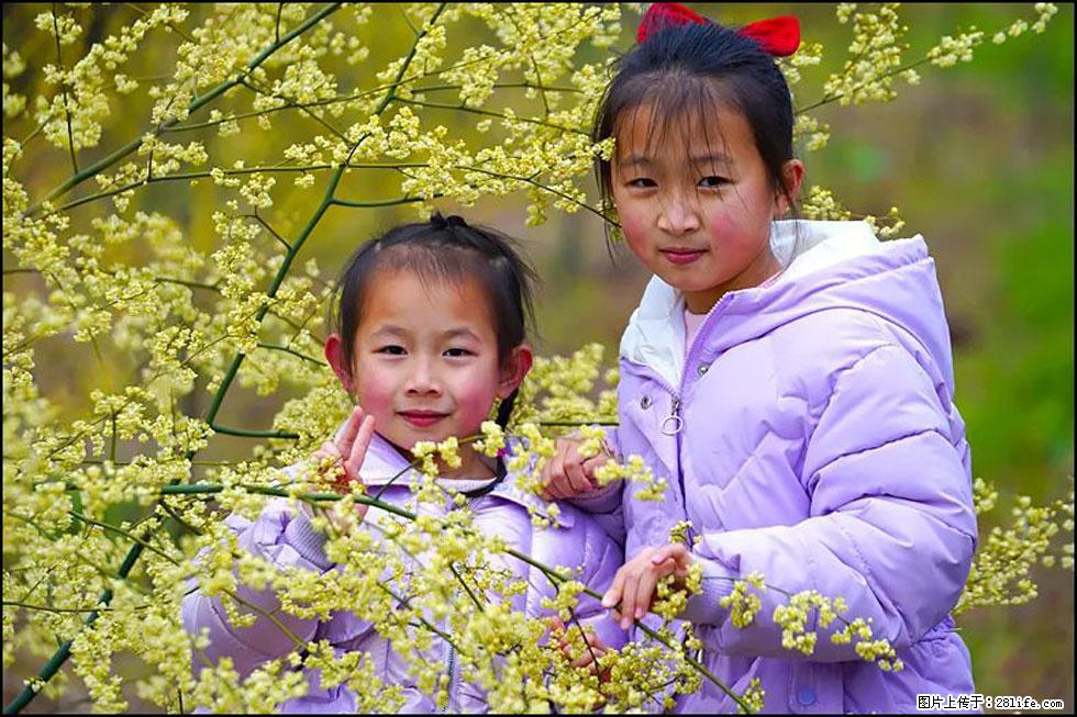 【春天，广西桂林灌阳县向您发出邀请！】米珠山前有片山苍子花在飘香 - 游山玩水 - 恩施生活社区 - 恩施28生活网 es.28life.com