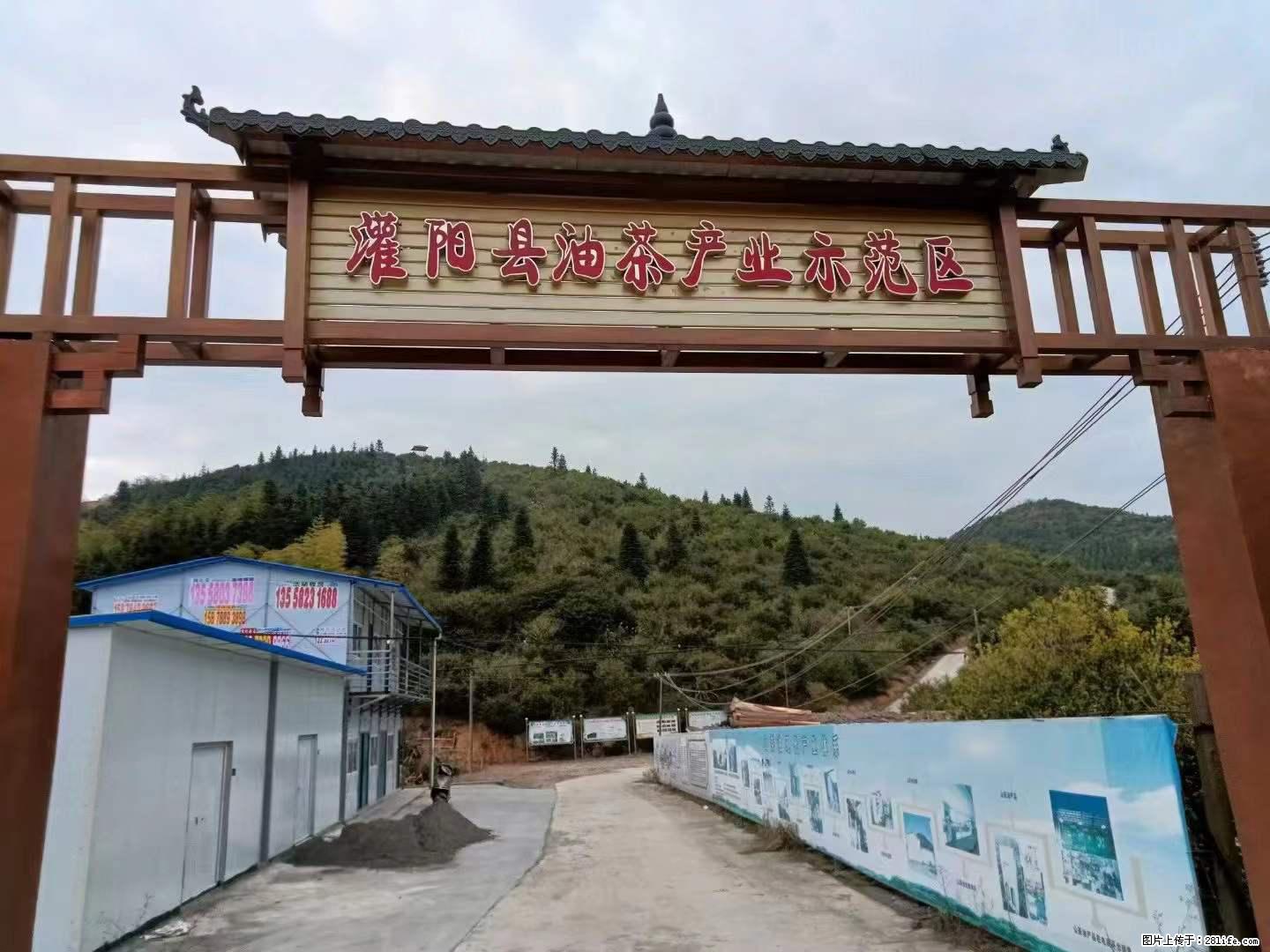 【灌阳县油茶产业示范区】一个有着充实的精神生活的人,对待身外之物自会有一种淡泊的态度 - 美食天地 - 恩施生活社区 - 恩施28生活网 es.28life.com