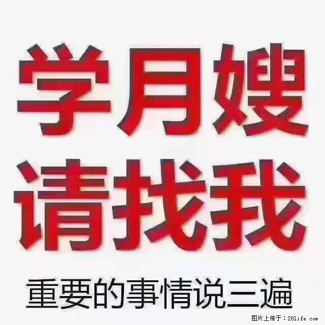 【招聘】月嫂，上海徐汇区 - 职场交流 - 恩施生活社区 - 恩施28生活网 es.28life.com