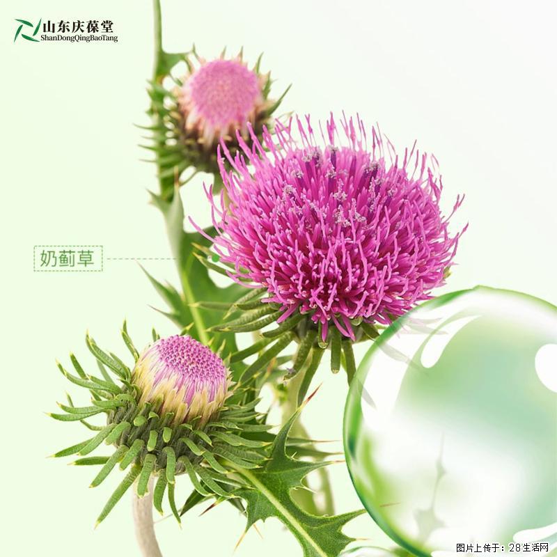 生活中难免有社交需求各种应酬接踵而至,你需要时刻保持身体健康 - 保健品 - 饮食特产 - 恩施分类信息 - 恩施28生活网 es.28life.com