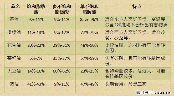 揭秘茶油的5大核心营养成分!被称为人体健康的“守护盾”! - 恩施生活资讯 - 恩施28生活网 es.28life.com