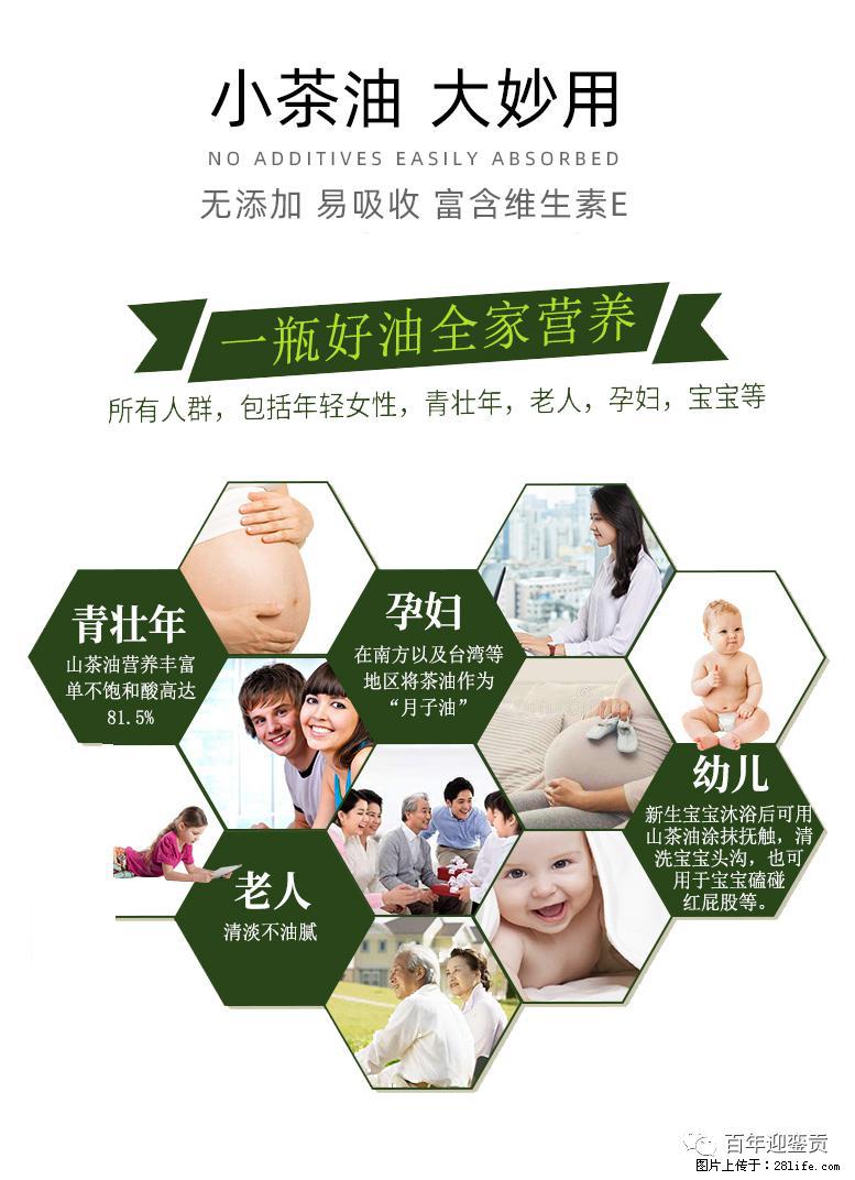 世界没有真相,只有认知,最好的食用油是中国的山茶油! - 恩施生活资讯 - 恩施28生活网 es.28life.com