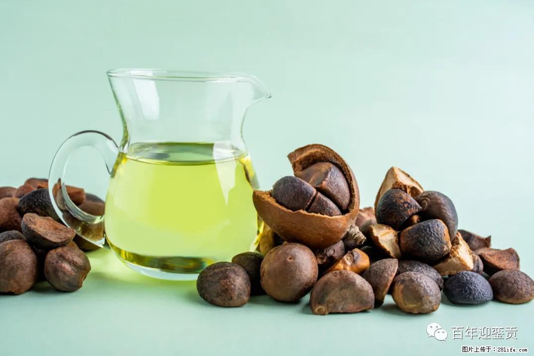 世界没有真相，只有认知，最好的食用油是中国的山茶油！ - 恩施生活资讯 - 恩施28生活网 es.28life.com