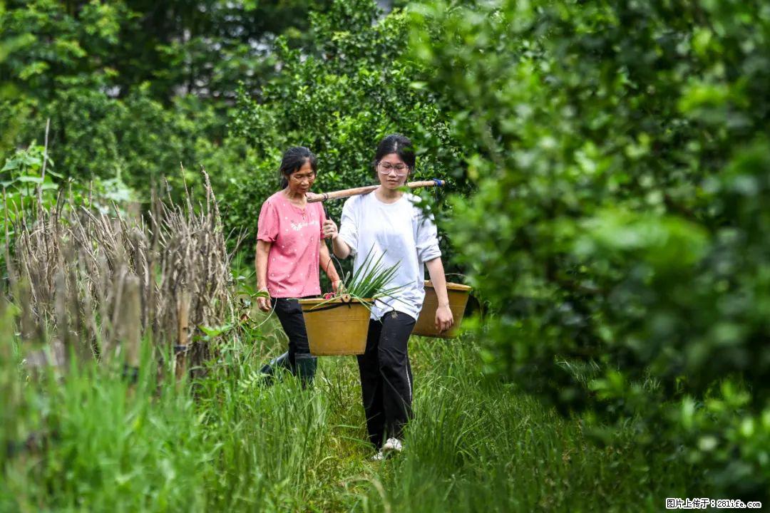 全网追的“扁担女孩”,找了一份暑假工,时薪12元 - 恩施生活资讯 - 恩施28生活网 es.28life.com