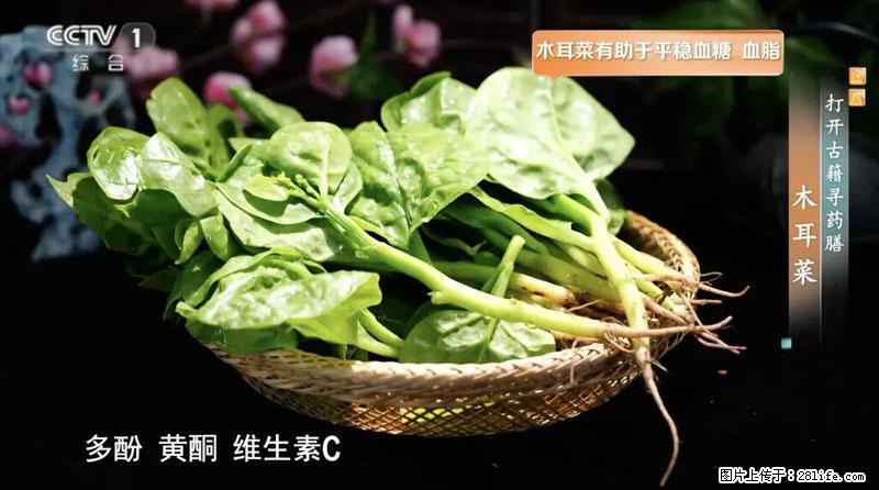 比牛奶补钙还厉害！凉血解毒、稳血糖...这菜冬天必吃，很多人却当草 - 恩施生活资讯 - 恩施28生活网 es.28life.com