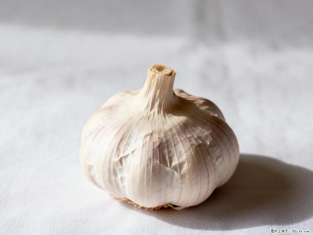 关于大蒜，除了“天然抗生素”，这4个谣言更该警惕! - 恩施生活资讯 - 恩施28生活网 es.28life.com