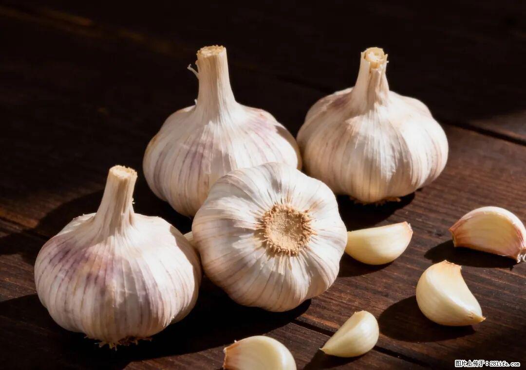 关于大蒜，除了“天然抗生素”，这4个谣言更该警惕! - 恩施生活资讯 - 恩施28生活网 es.28life.com