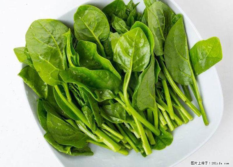 这些蔬菜是“天然钙片”，这6种被医生重点推荐 - 恩施生活资讯 - 恩施28生活网 es.28life.com