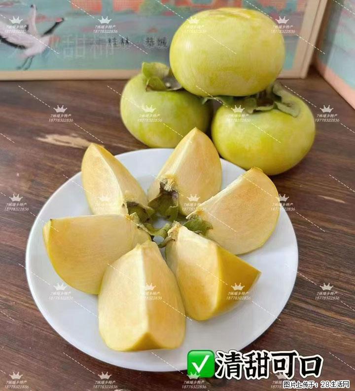 广西桂林平乐桥亭【红心猕猴桃】、【大秋甜柿】上市啦，欢迎各位新老客户下单（另有少量小果出售） - 恩施生活资讯 - 恩施28生活网 es.28life.com